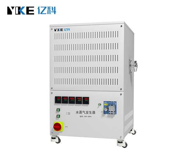 特大流量水蒸气发生器