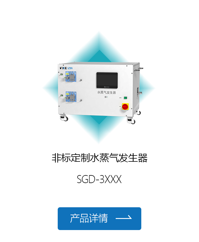 非标定制水蒸气发生器.jpg