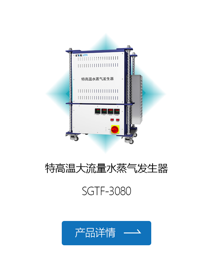 特高温大流量水蒸气发生器.jpg